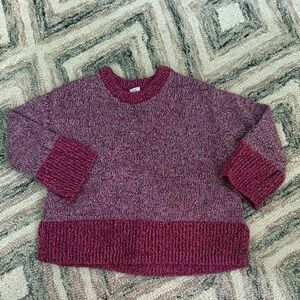 GAP Kids Maroon and Purple Sweater